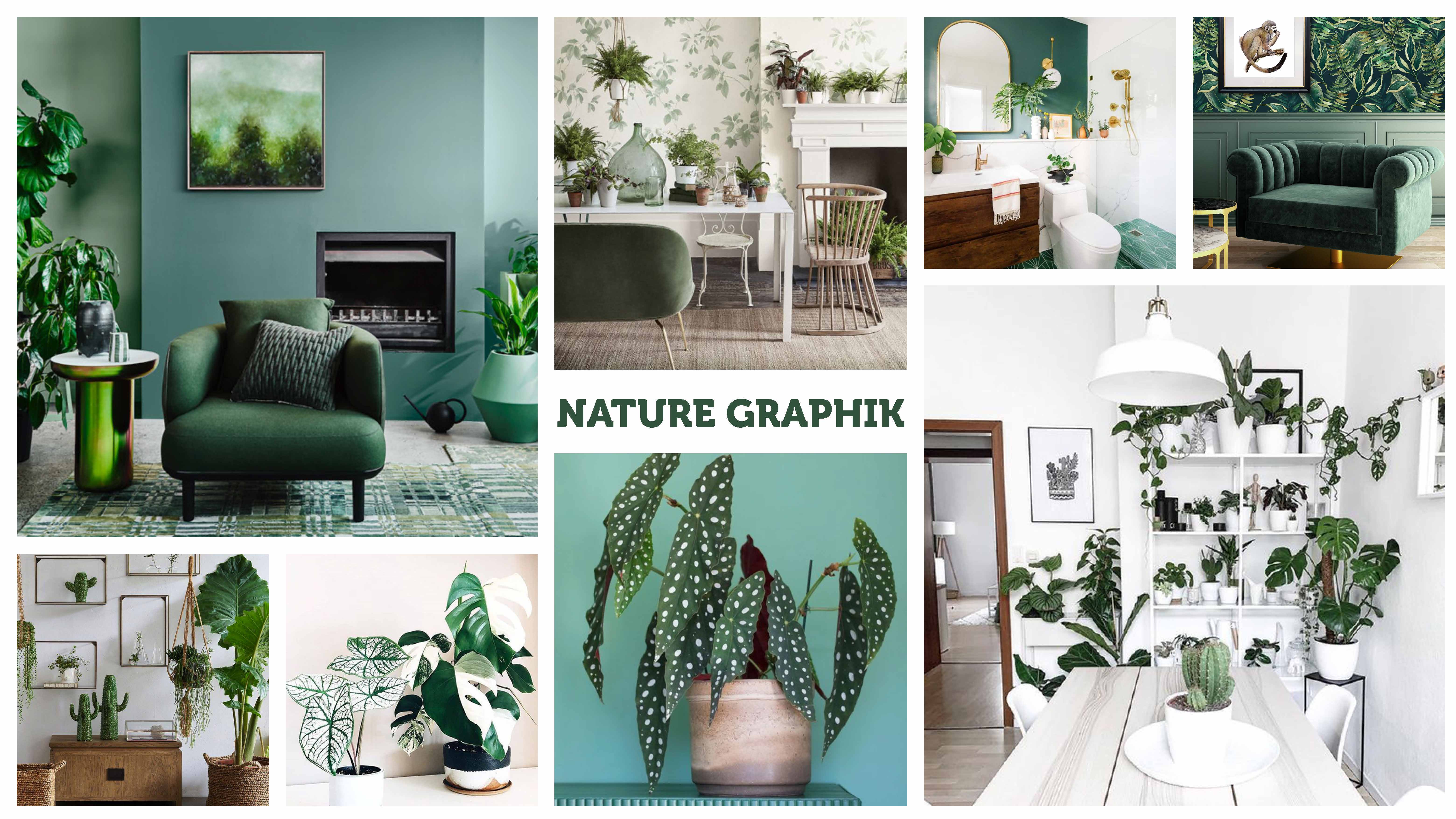 MOODBOARD-Nature Graphik